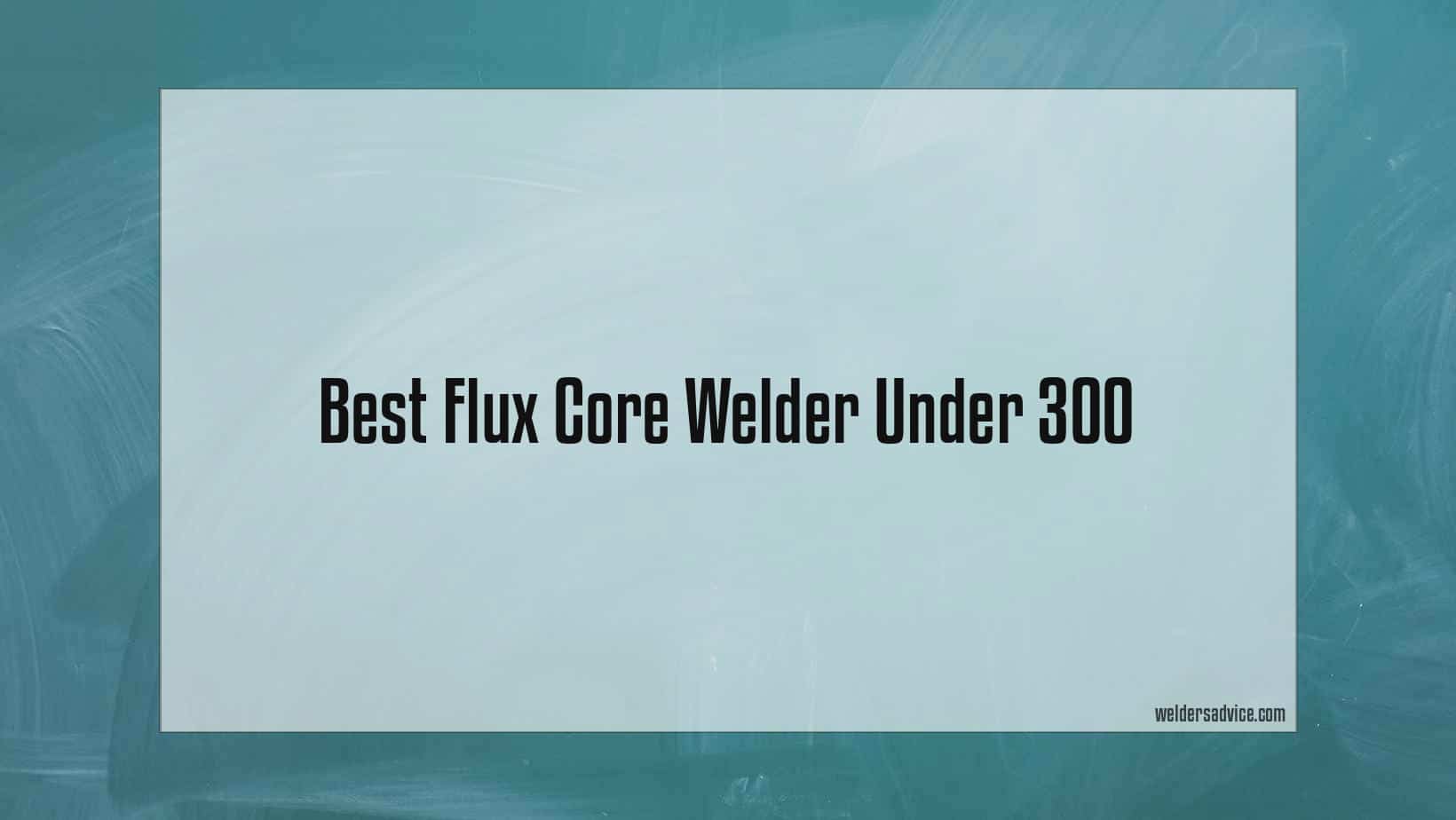best flux core welder under 300